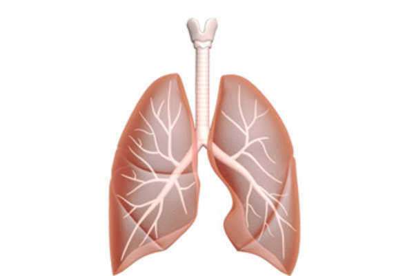 opdivo peritoneal mesothelioma