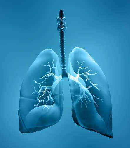 Photodynamic Therapy