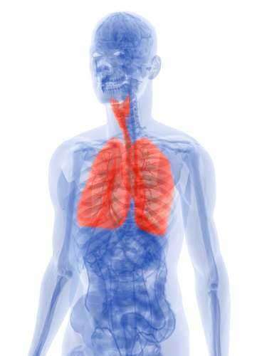 Mesothelioma Risk Factors